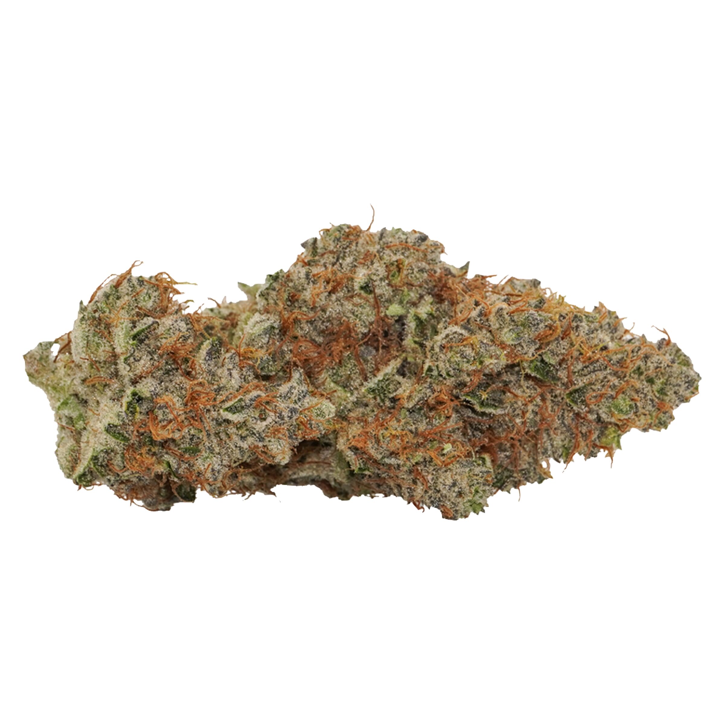Bon Voyage! - Black Box - Sativa