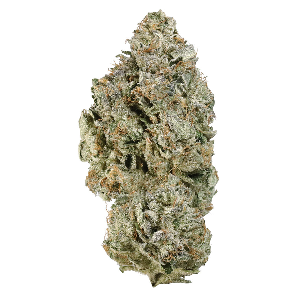 Simply Bare - BC Organic Cement Shoes