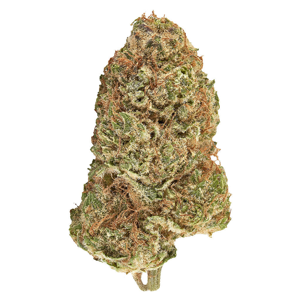 Carnaval Cannabis - Big Bang Sativa Smallz