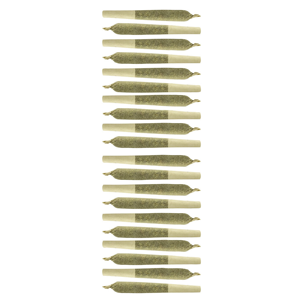 Sheeesh! - Key Lime Pie Pre-Roll - Indica - 20x0.35g