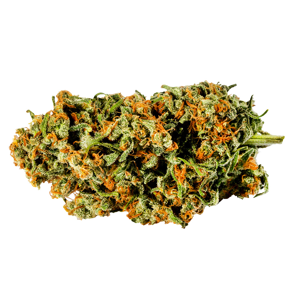 Redecan - Warlock