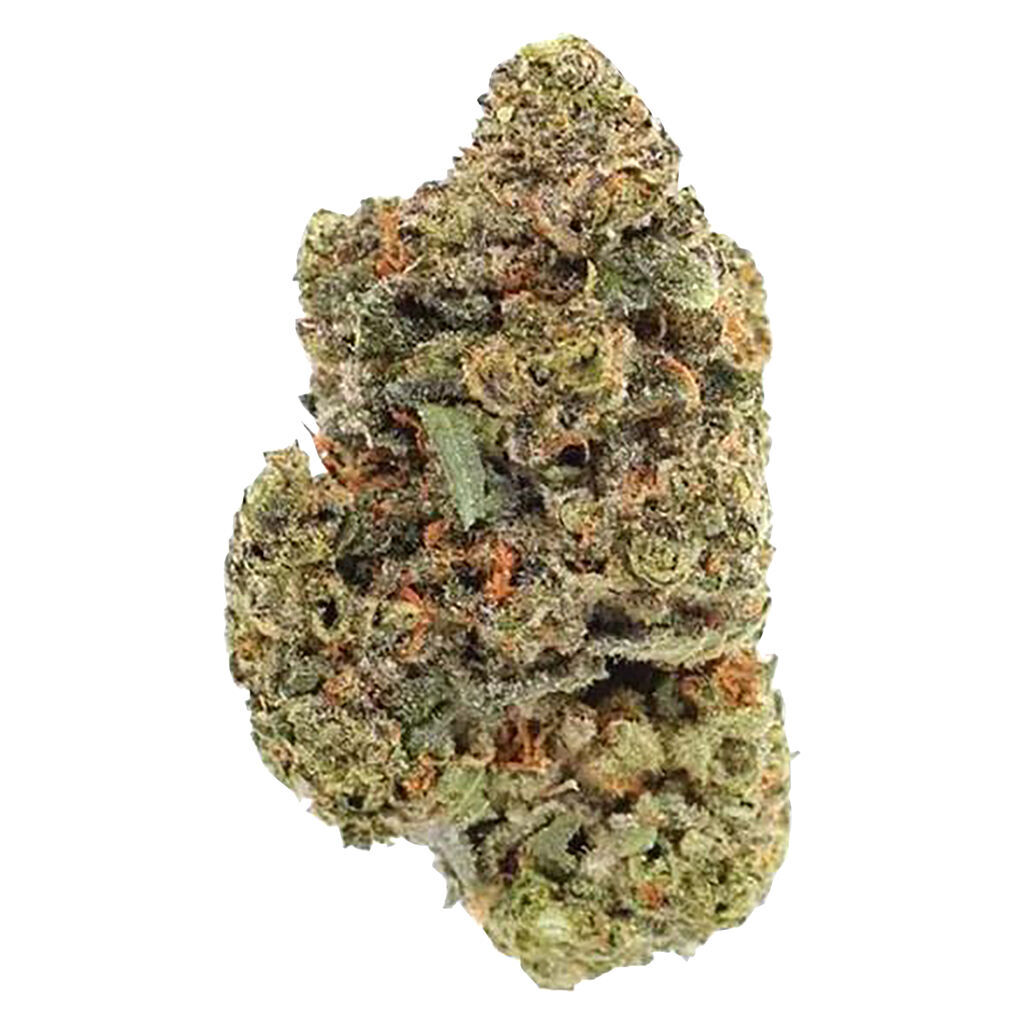 Viola - 4th Quarter (Indica)