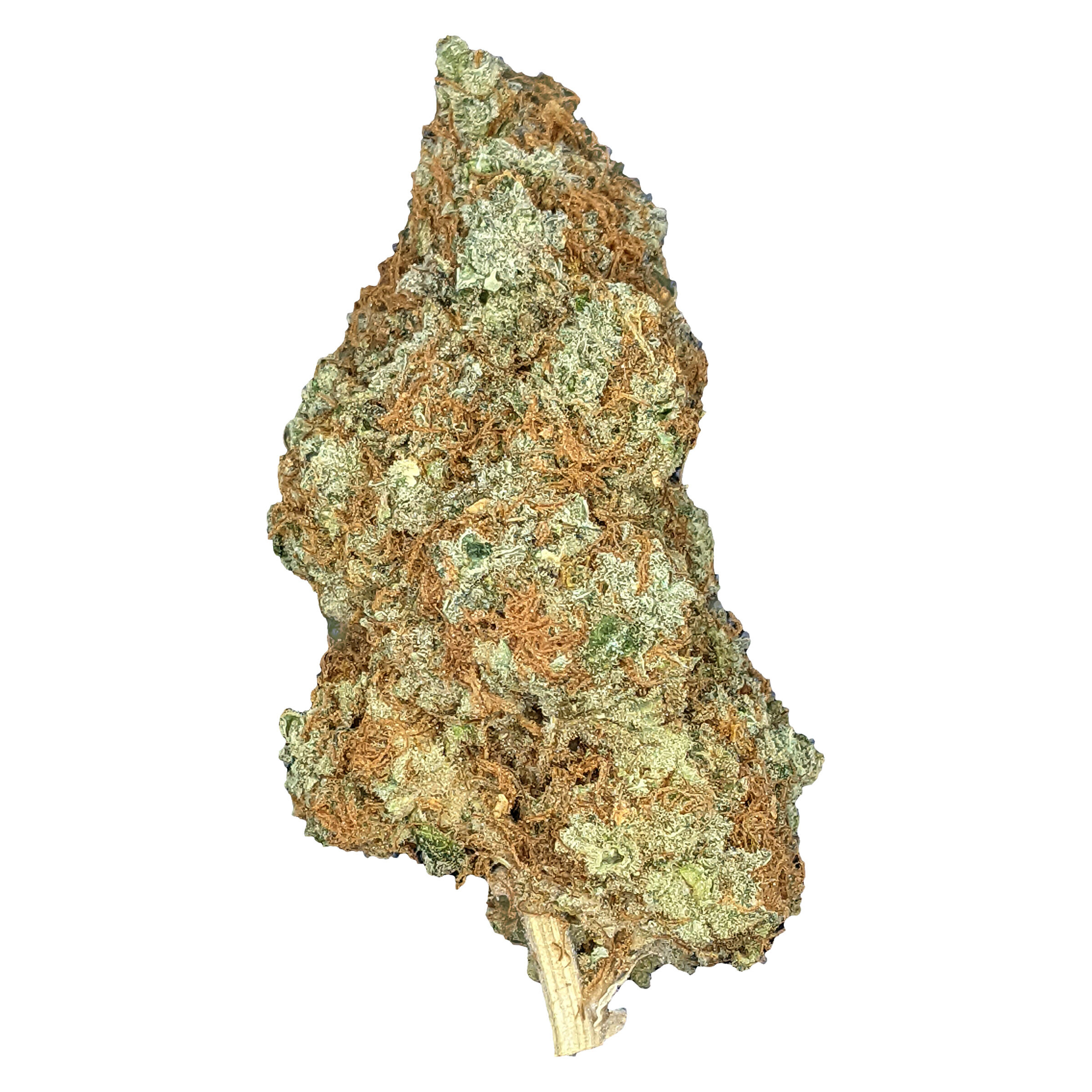 Cannabiomedic - Future Island