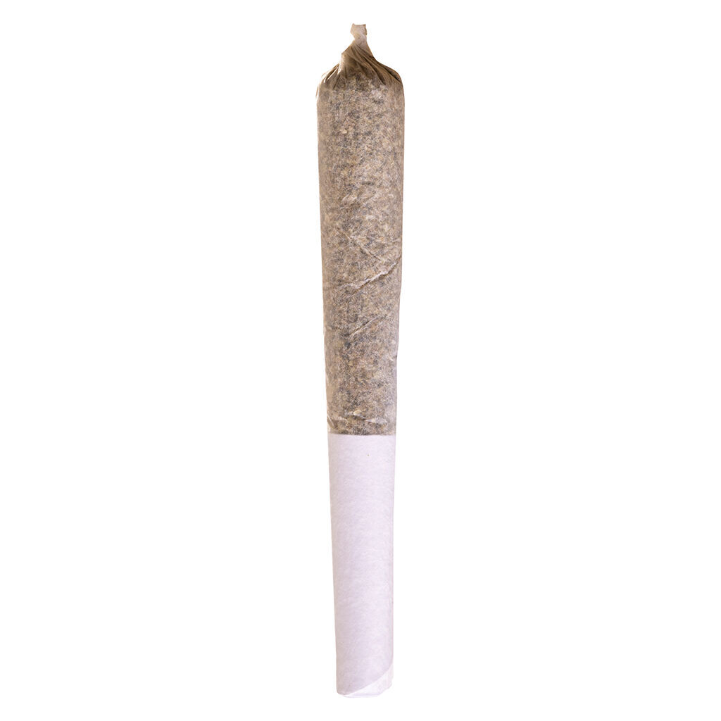 Potluck - Beaver Tail Pre-Roll - Indica - 1x0.5g