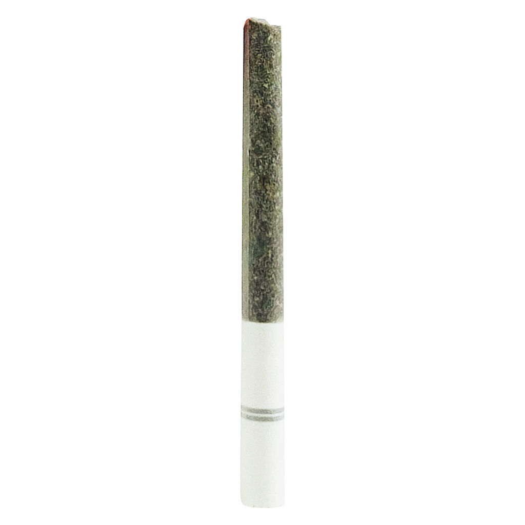 November Rain - Blasters Trident Pre-Roll - Hybrid - 3x0.5g