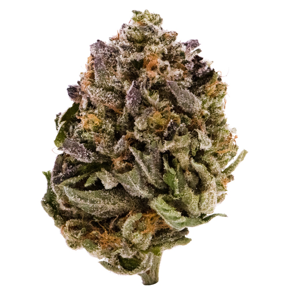 Canna Farms - Pink Kush