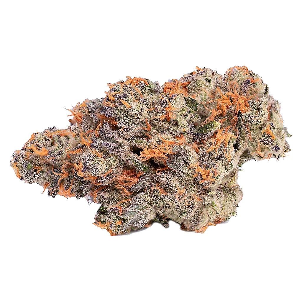 Coterie - Pink Rozay #4