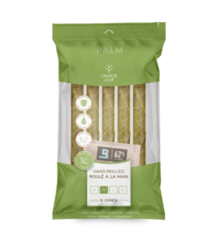 Choice Leaf Palm - Small Pack of 5