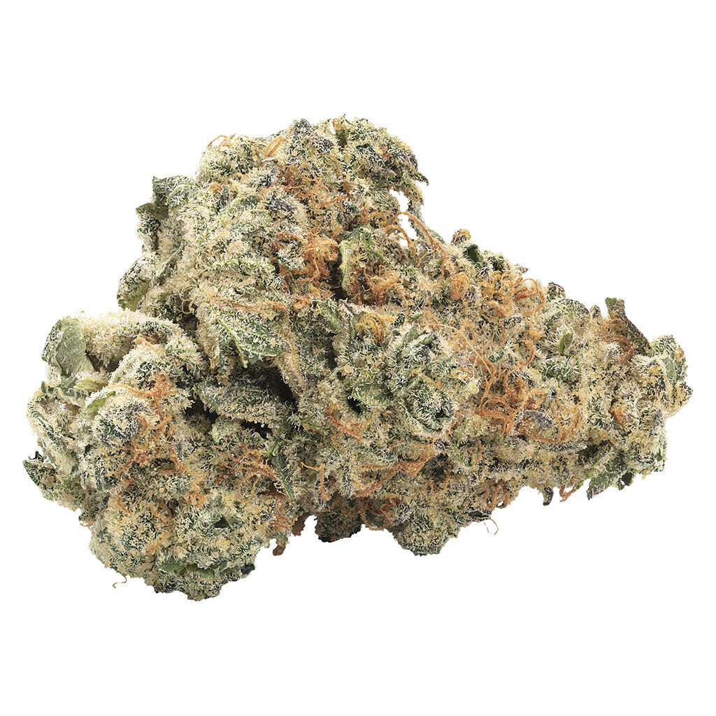 Big Bag O' Buds - GMO Kush Indica
