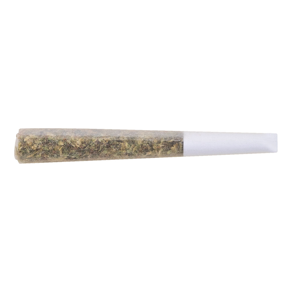 THE LOUD PLUG - Diamond Tipped Infused Pre-Roll - Indica - 1x1g