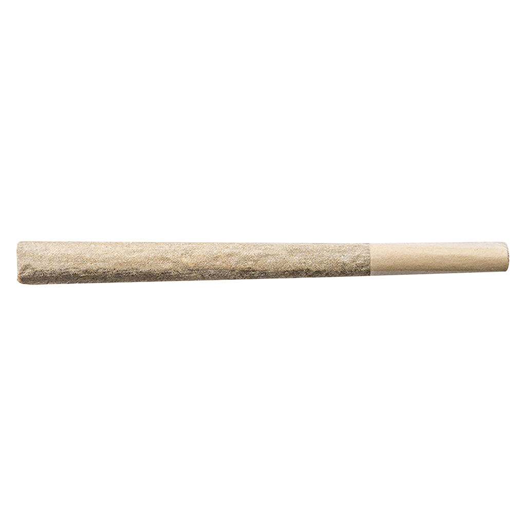 Cheers Cannabis - Midnight Cake Pre-Roll - Indica - 5x0.5g