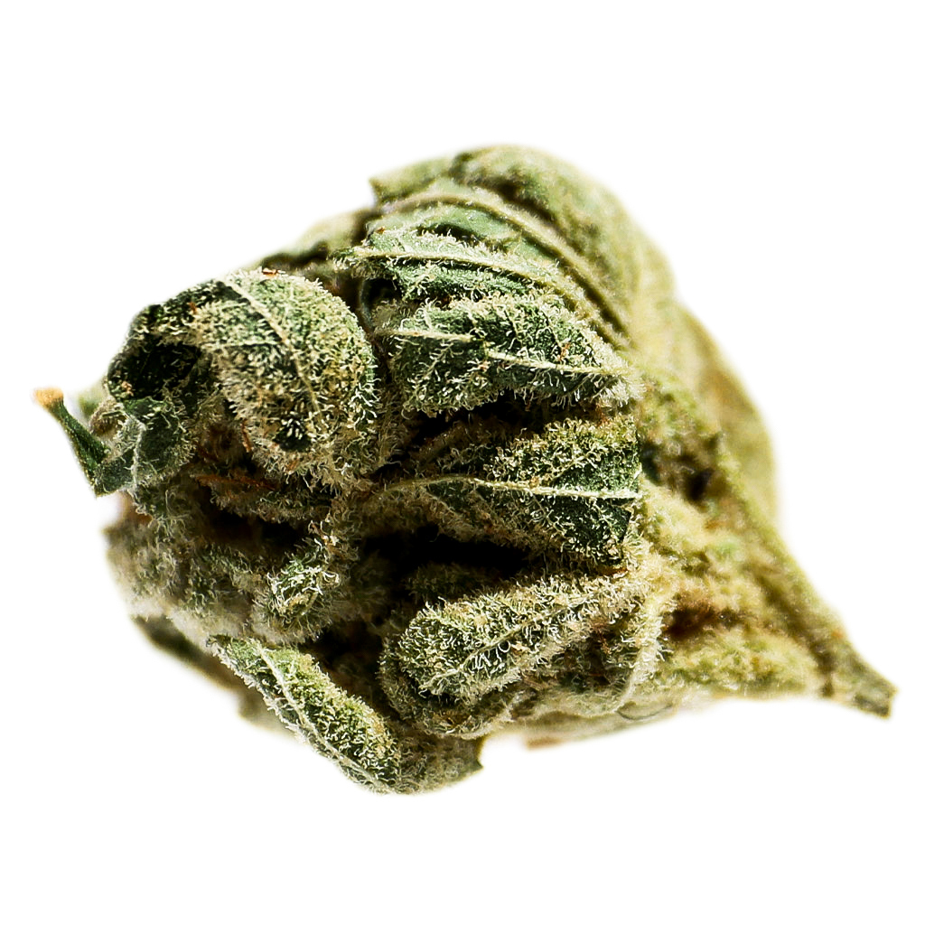 Potluck - Frosted Cherry