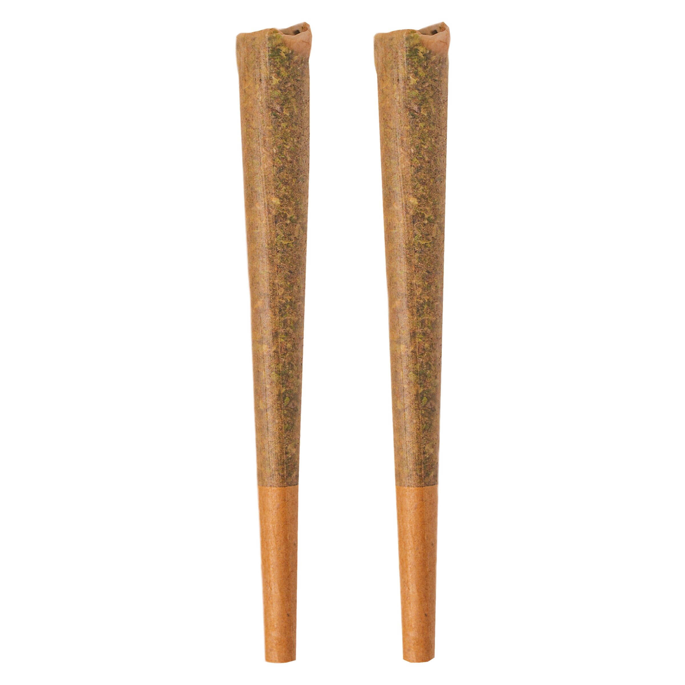 BOLD - GLAZED Hybrid Pre-Rolls - 2x1g
