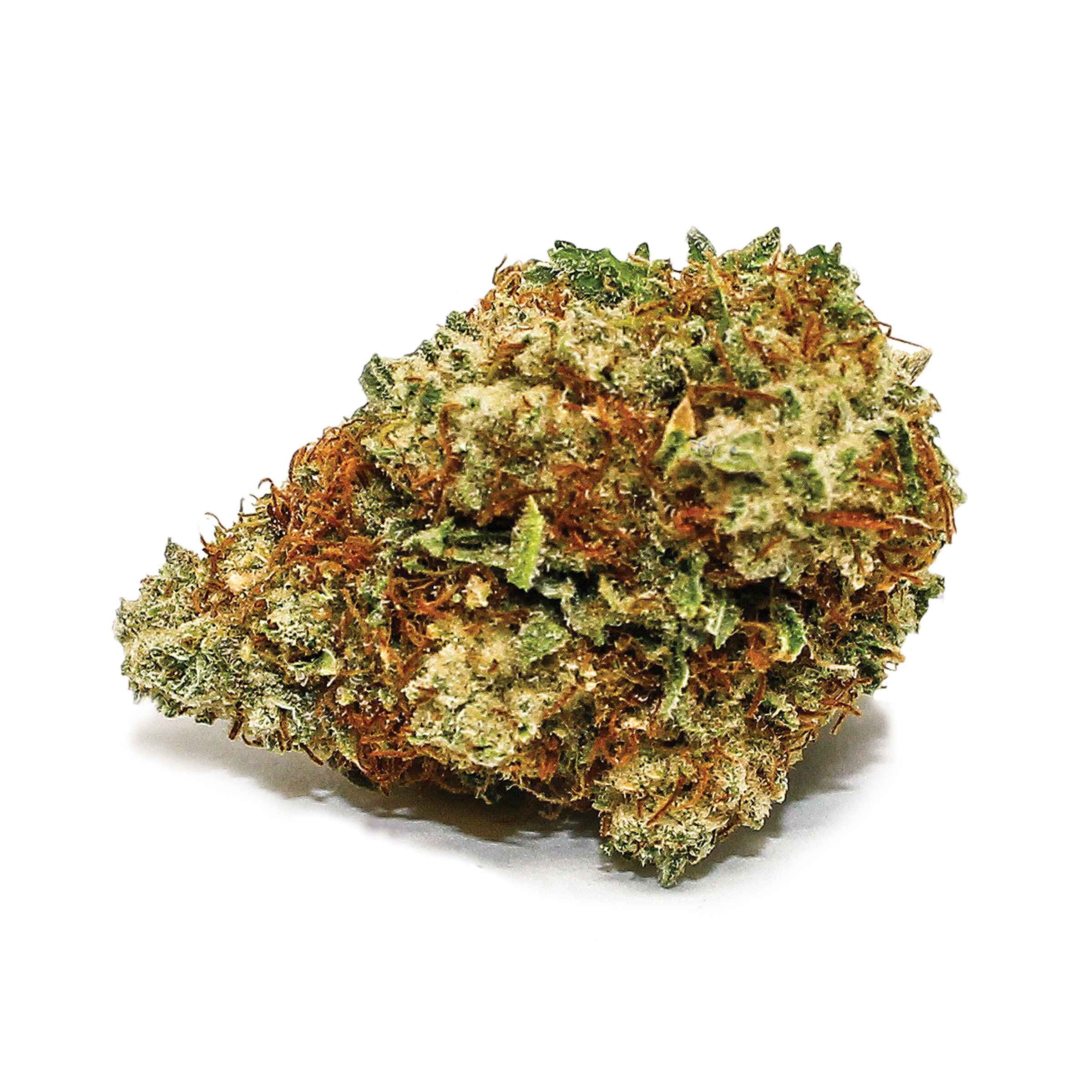 Spinach - Sensi Star