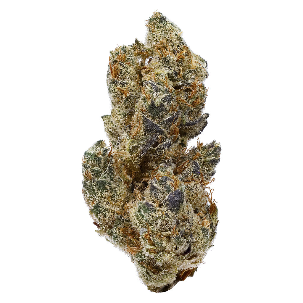 Muskoka Grown - The Chase