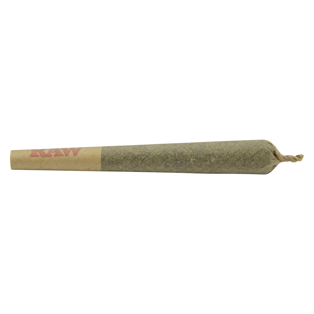 Common Ground - Blueberry Muffin Pre-Roll - Indica - 10x0.5g