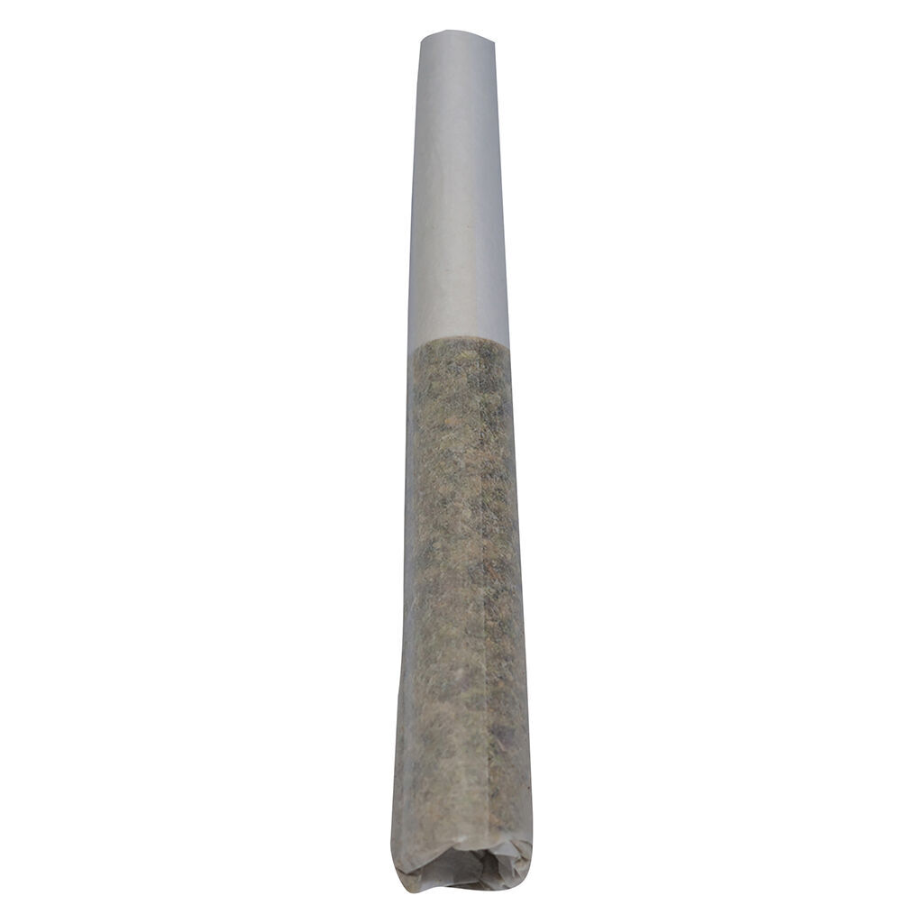 SEEKER - TERP N' TINE Pre-Roll - Indica - 1x0.5g