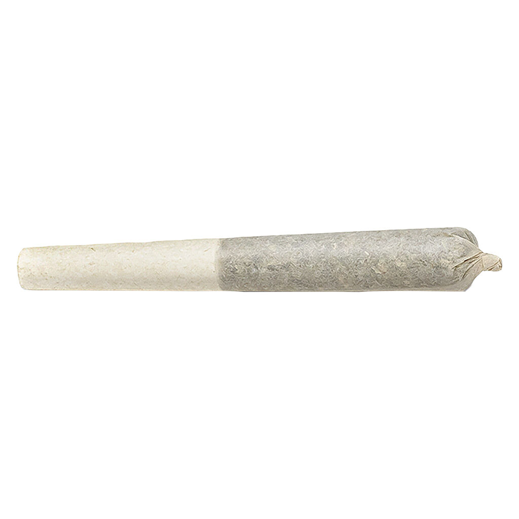 Highly Dutch Organic - Rotterdam Indica Pre-Roll - 14x0.5g