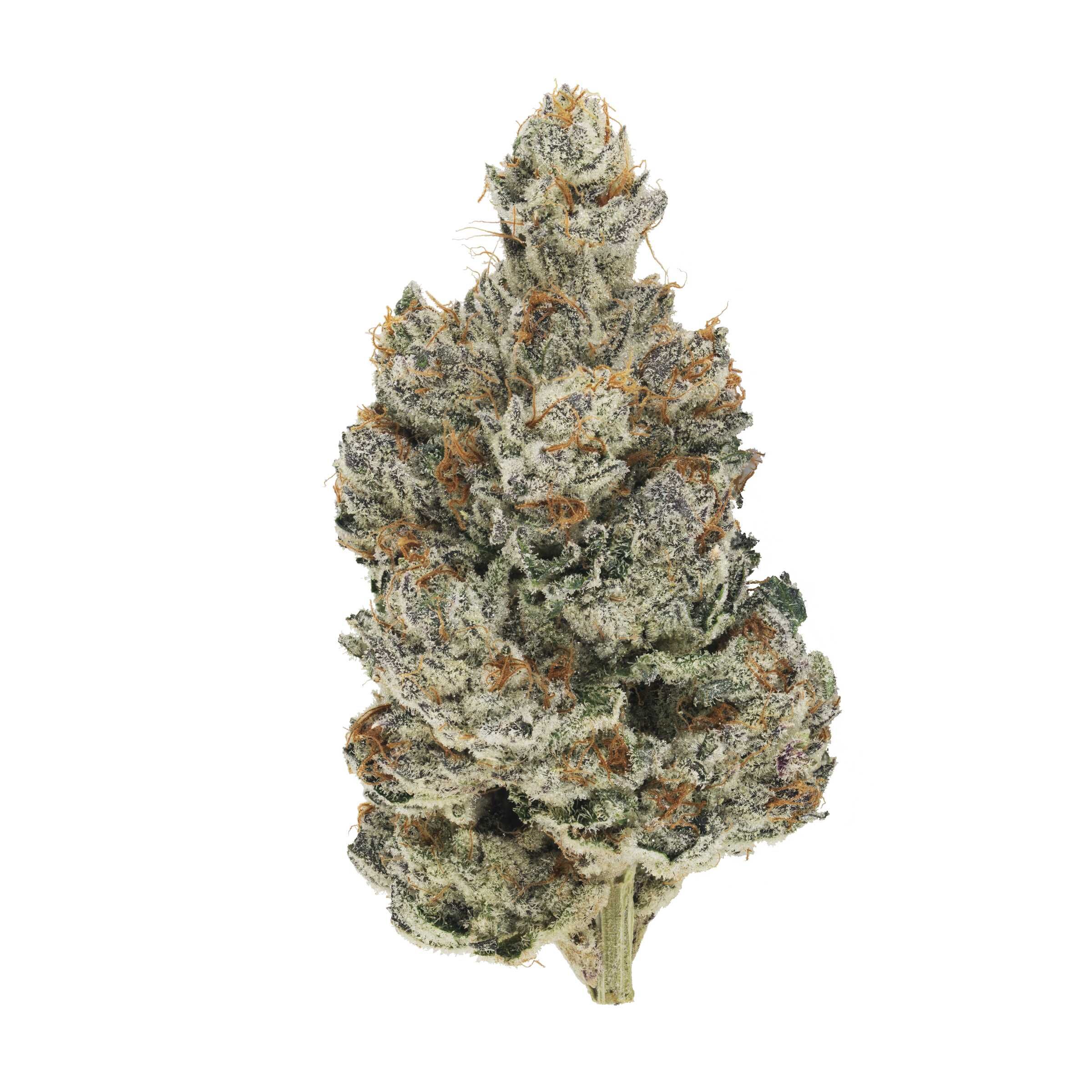 Broken Coast - Headstash (Quadra)