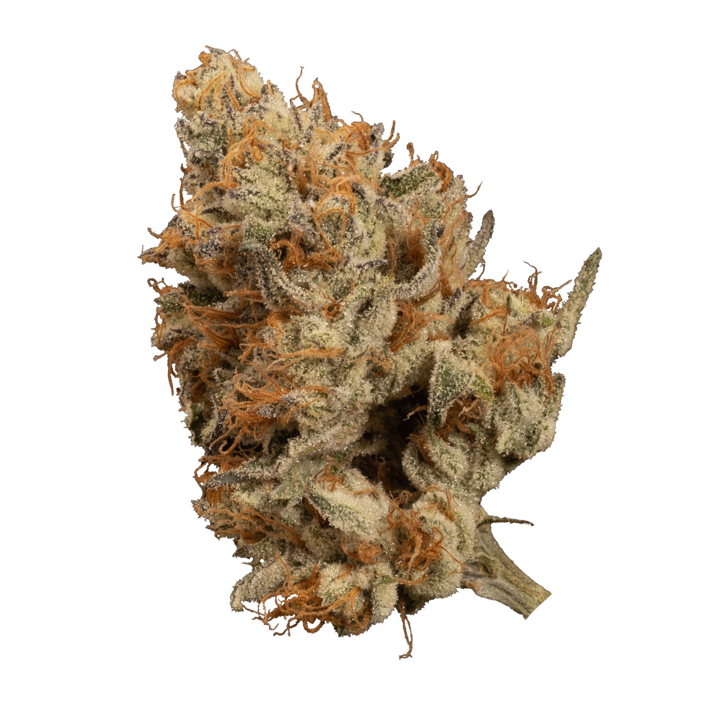 OGEN - Bacio Punch #8