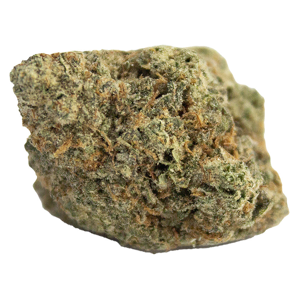 OUEST - Gelatti Kush