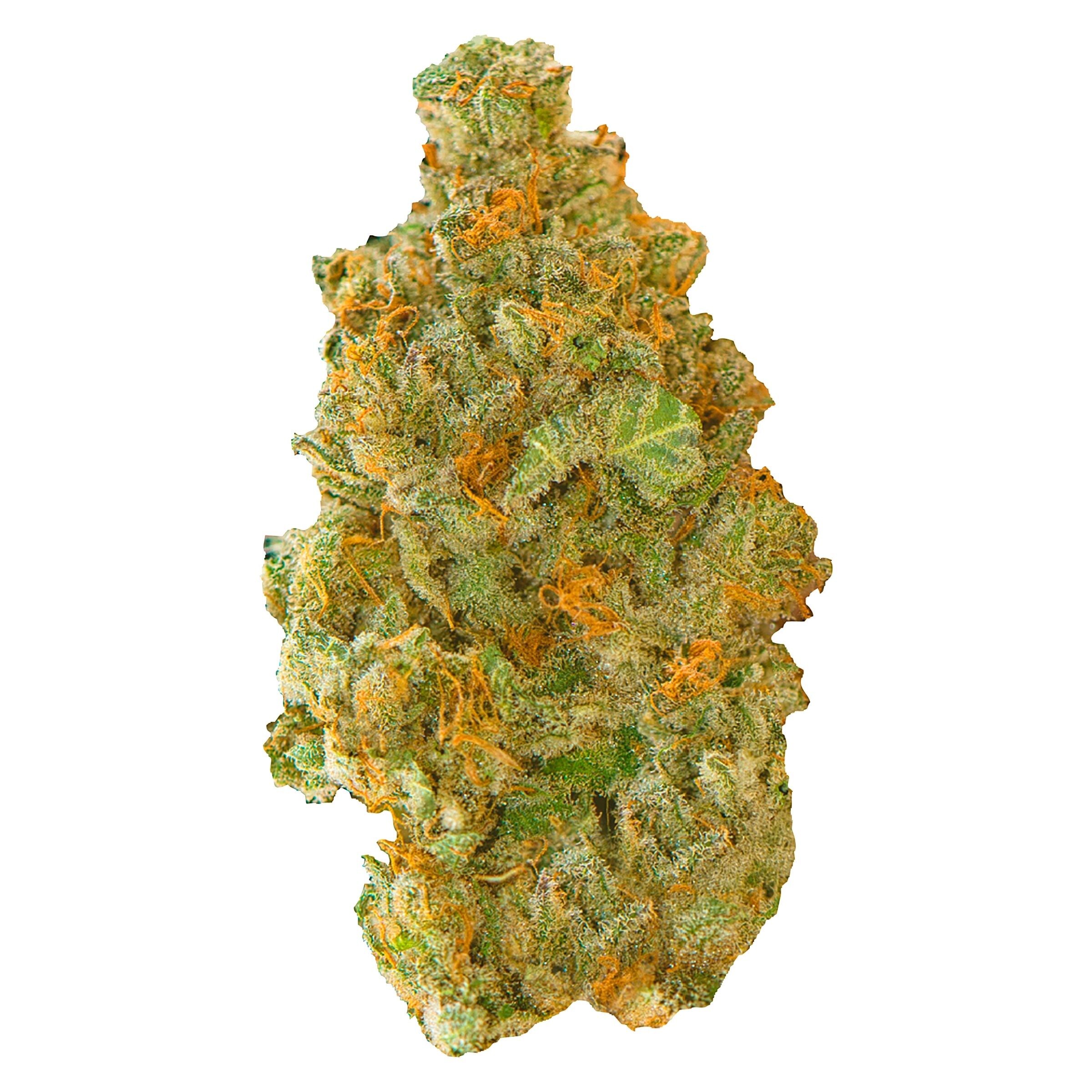 Contraband - Golden Tangie