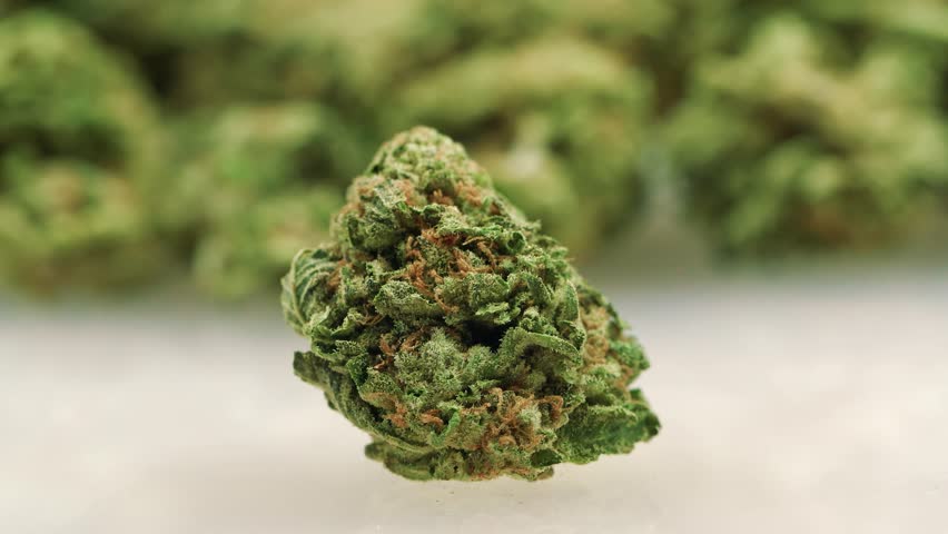 CAN Kush
