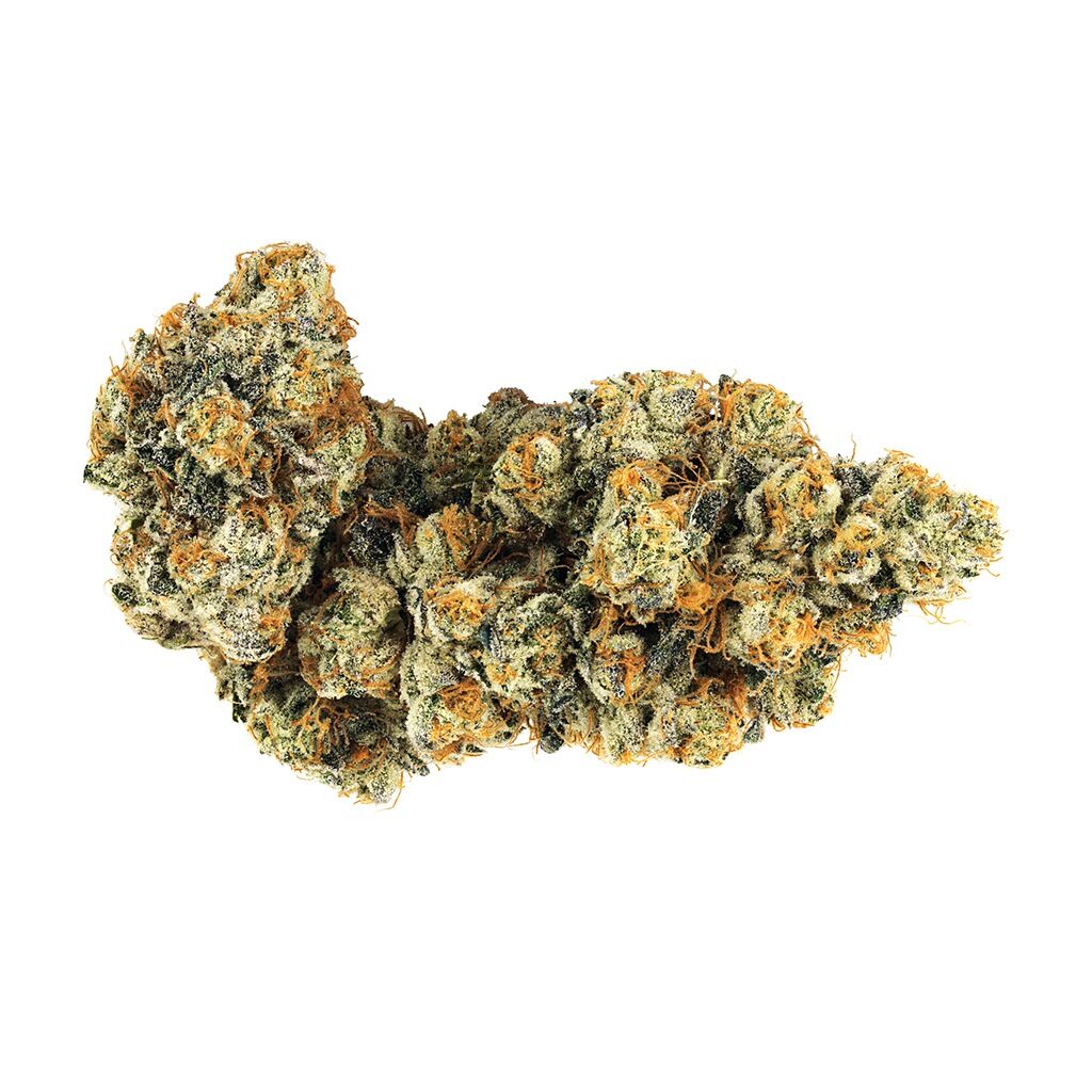 Broken Coast - Frost Monster (Gabriola)