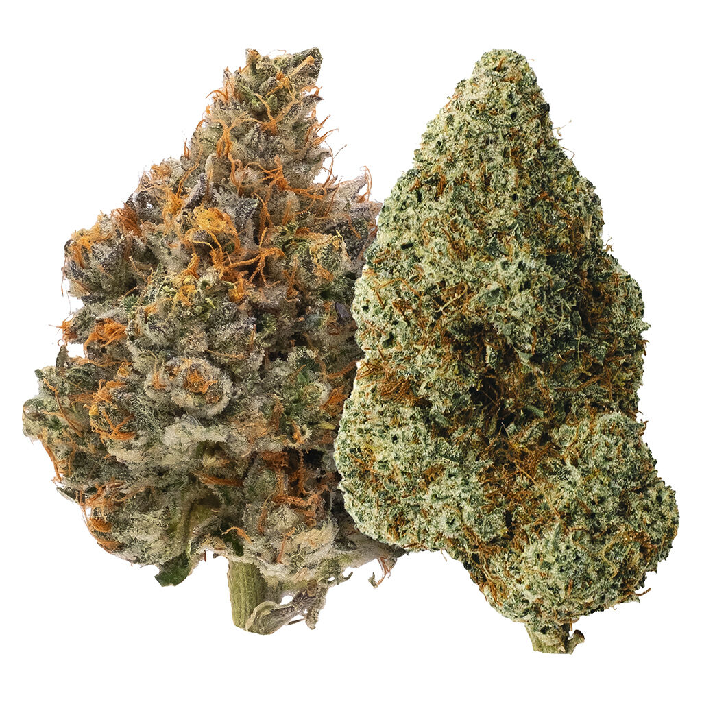 Carmel - Two Pack: Mystery Made & Bully Kush