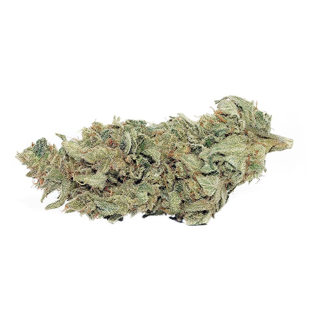 Tantalus Labs - Sky Pilot