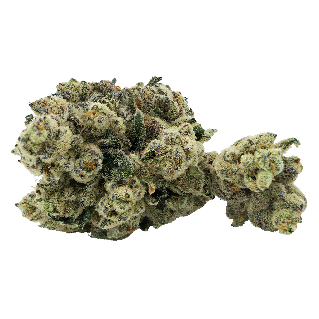 Citizen Stash - Jungle Breath Flower