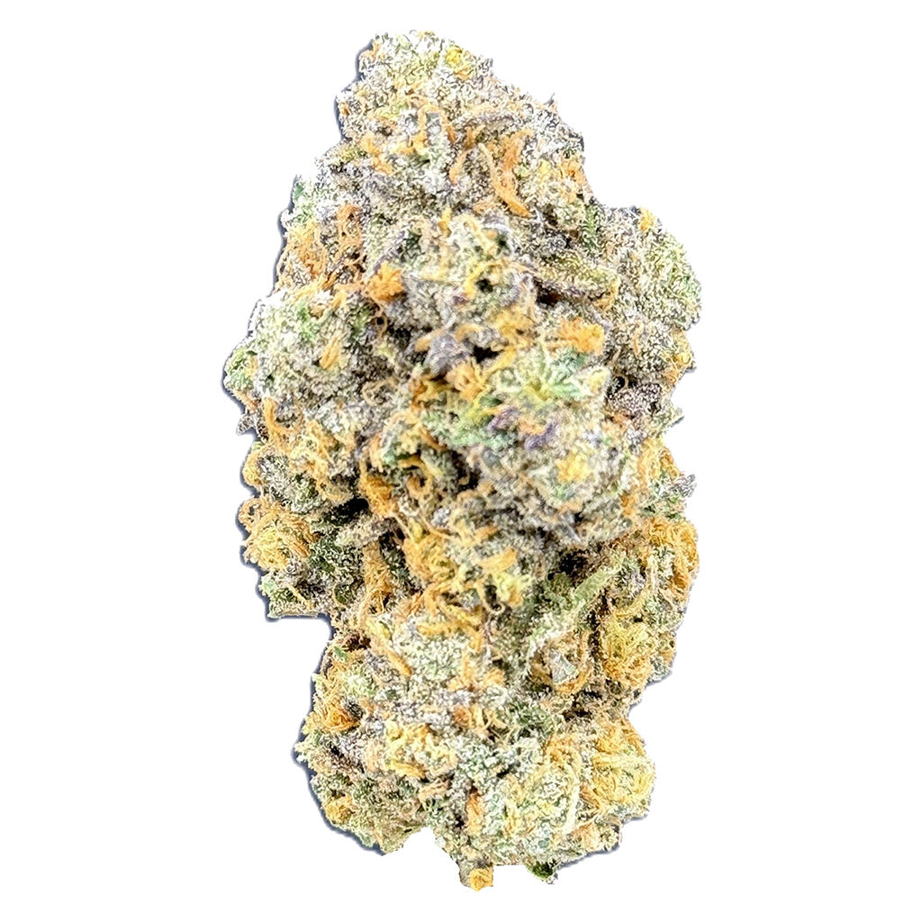 Canal St. - Confidential Green