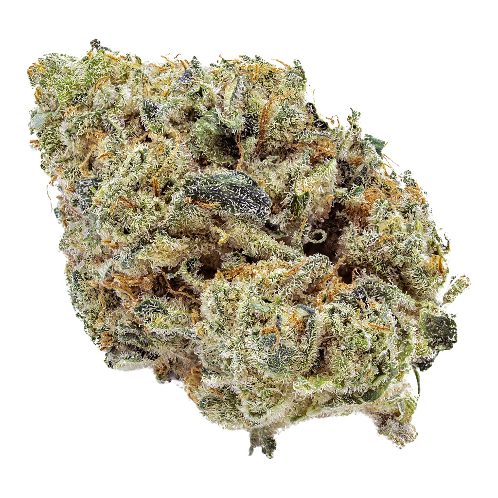 Artisan Batch - ARK Blue Iguana