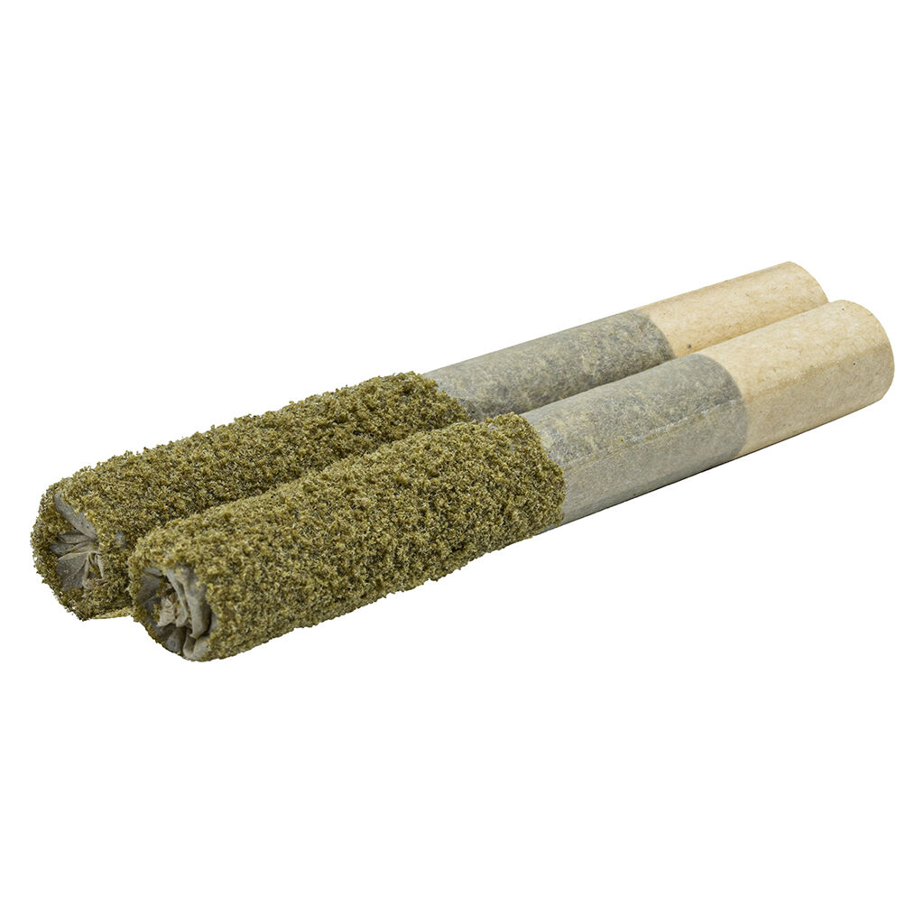 Endgame - Terpgasm Dusted Dank 1s Infused Pre-Roll - Hybrid - 2x1g