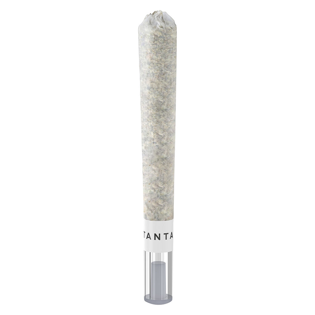 Tantalus Labs - OG Platinum Mints Glass Tip Pre-Roll - Indica - 1x1g