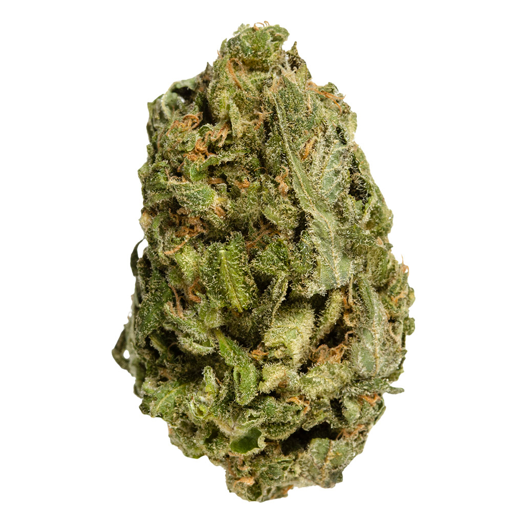 Bake Sale - All Purpose Flower Sativa