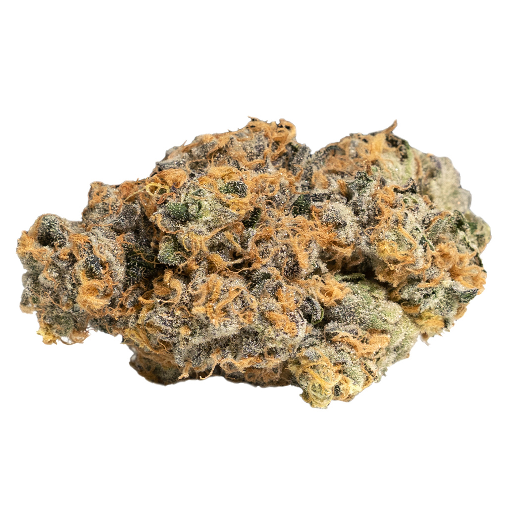 Cookies - GP20