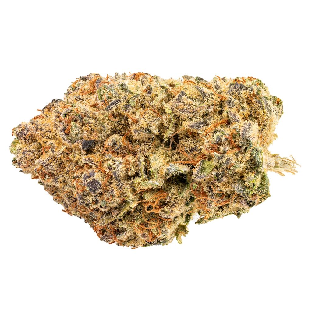 BINGO - Indica!