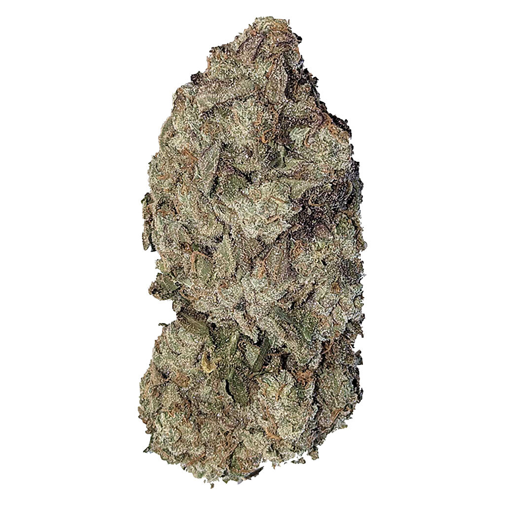 Monette Genetics Super OG Blue - Super OG BLue