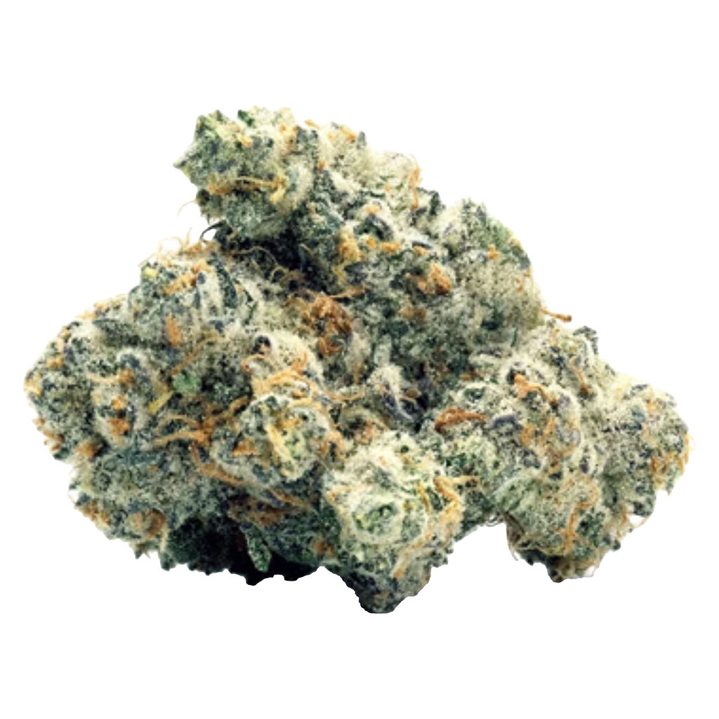 Toasted - WiFi Widow OG