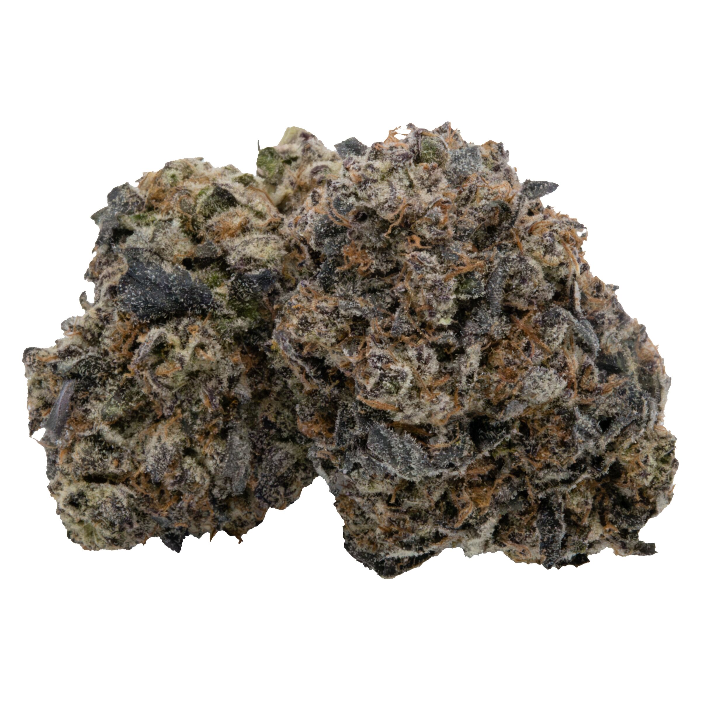 Antidote - KQ Chakra Chron