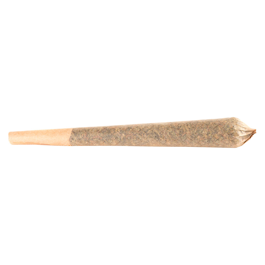 Terp Town Collective - Frosty Melonz Pre-Roll - Sativa - 1x1g