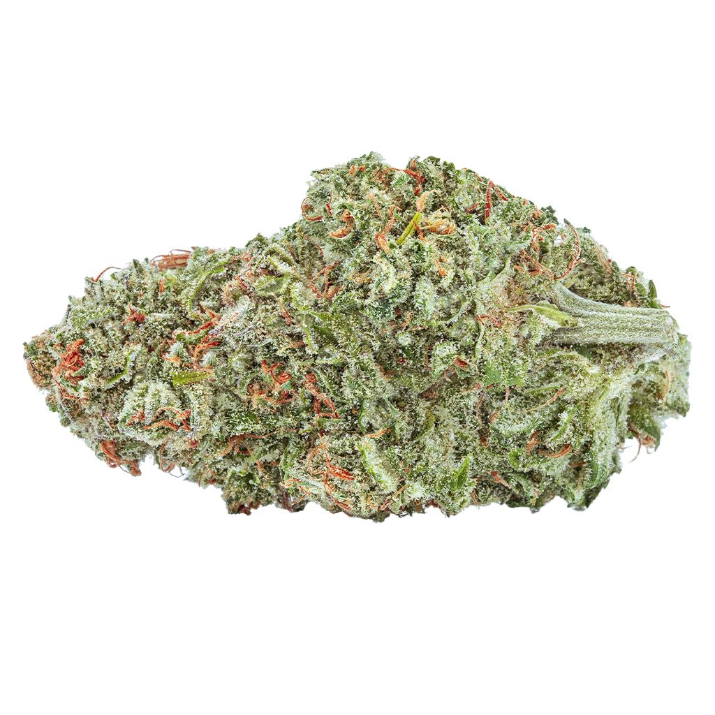 Highly Dutch Organic - Amsterdam Sativa