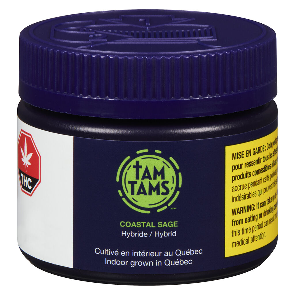 Tam Tams - Coastal Sage