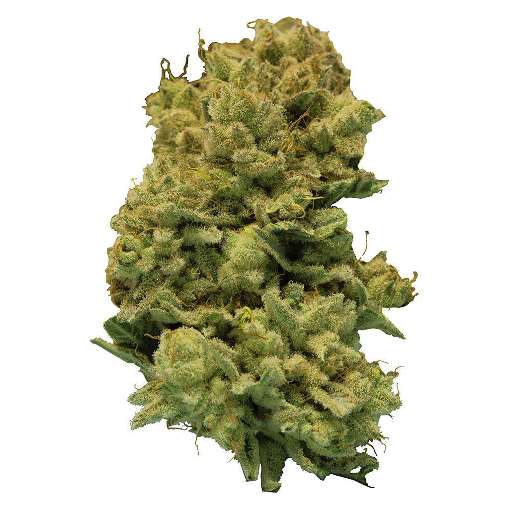 Lyoclean - Sublimed Flower