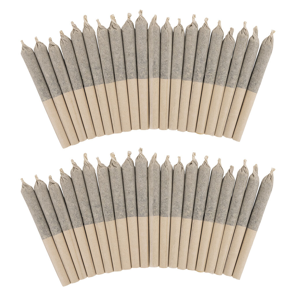Pure Laine - Big Pleasures Classic 40 Pre-Roll - Indica - 40x0.35g