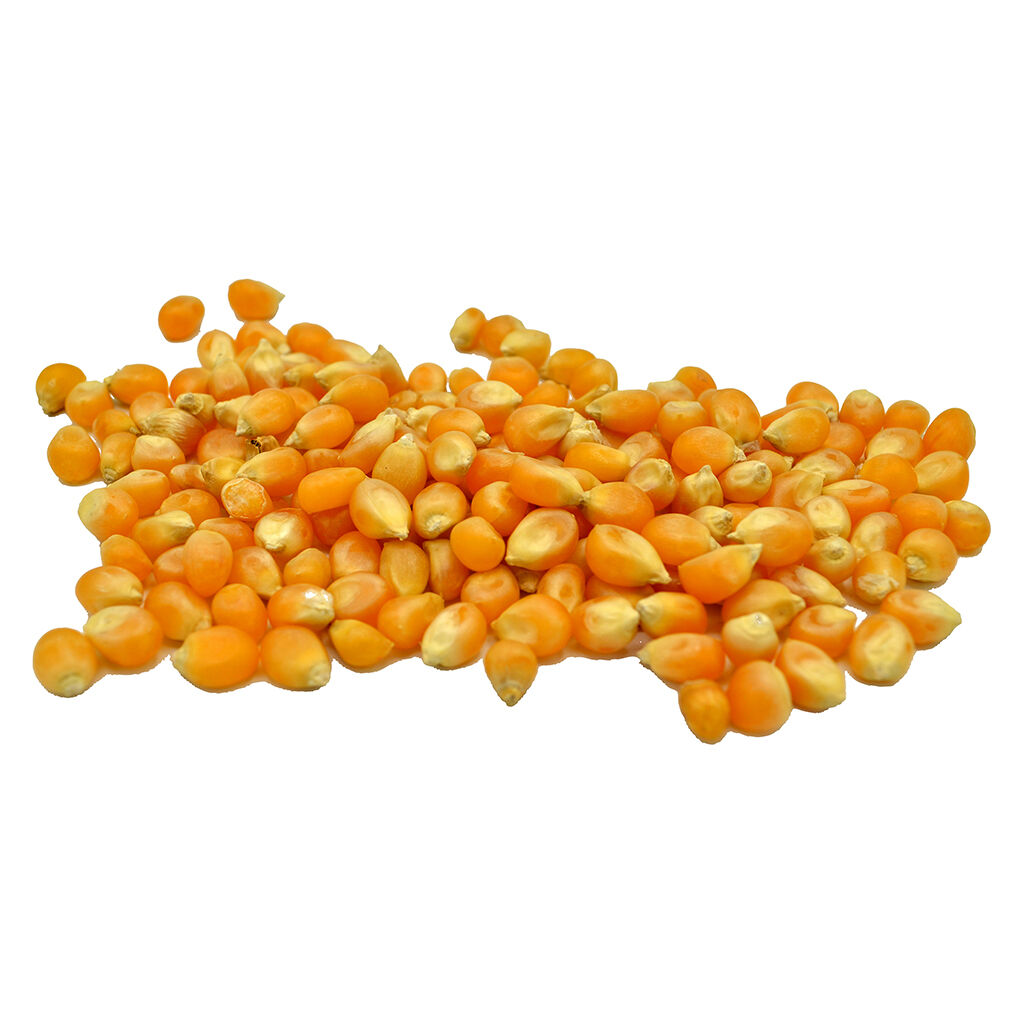 Red Market Brand - Pickle Popcorn - Hybrid - 1 Pack