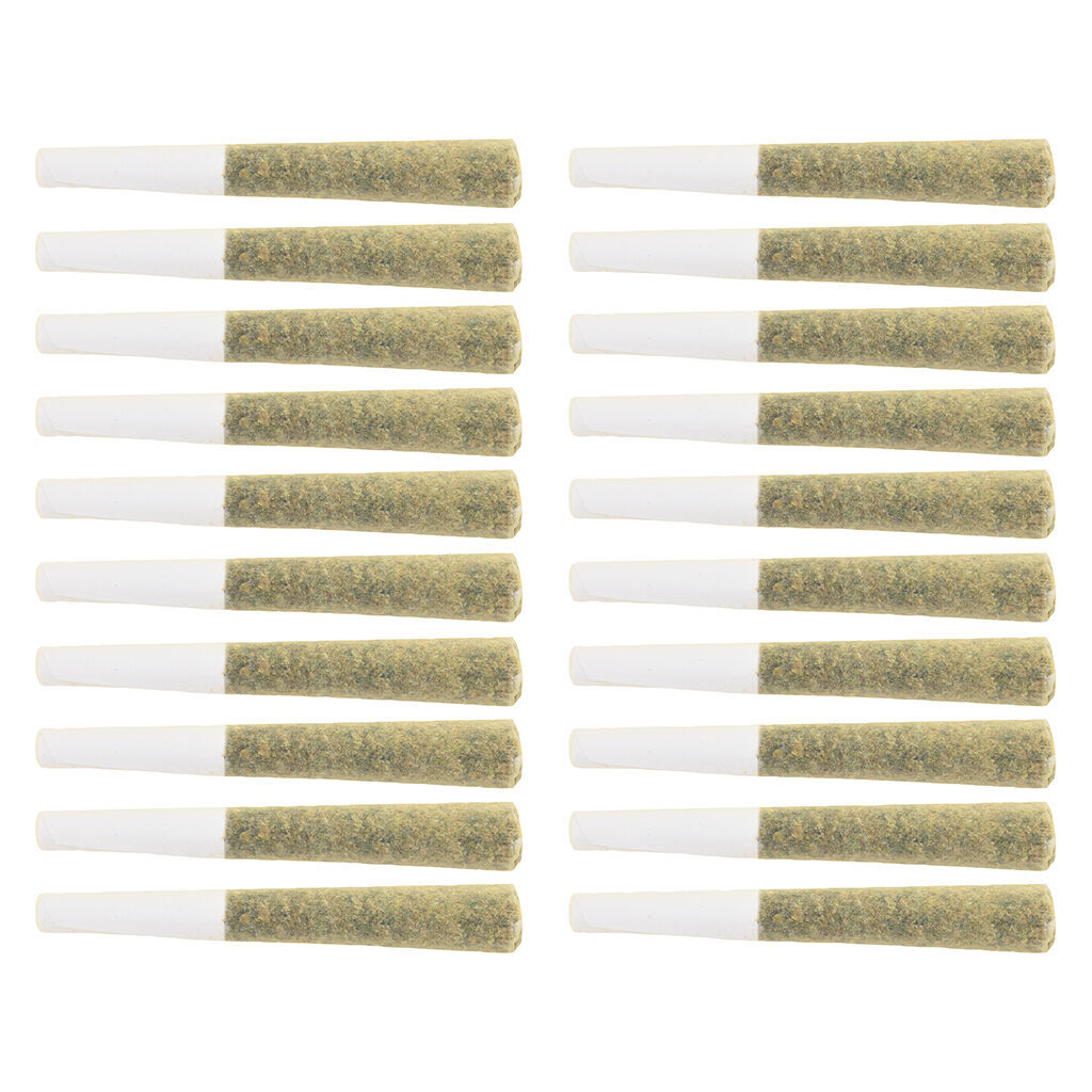 The Loud Plug - The 420 Legacy to Legal Pack Pre-Roll - Hybrid - 10x0.5g