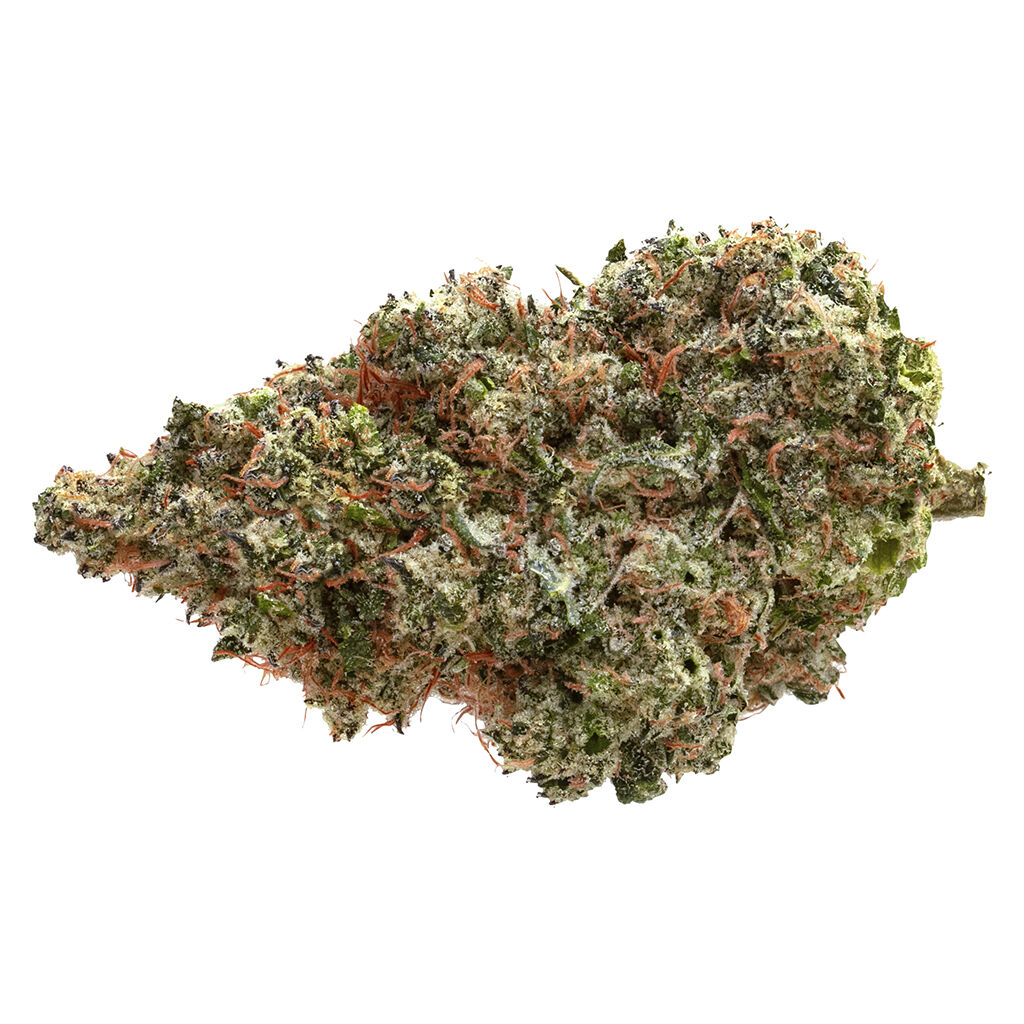 Pure Sunfarms - Neon Lambo
