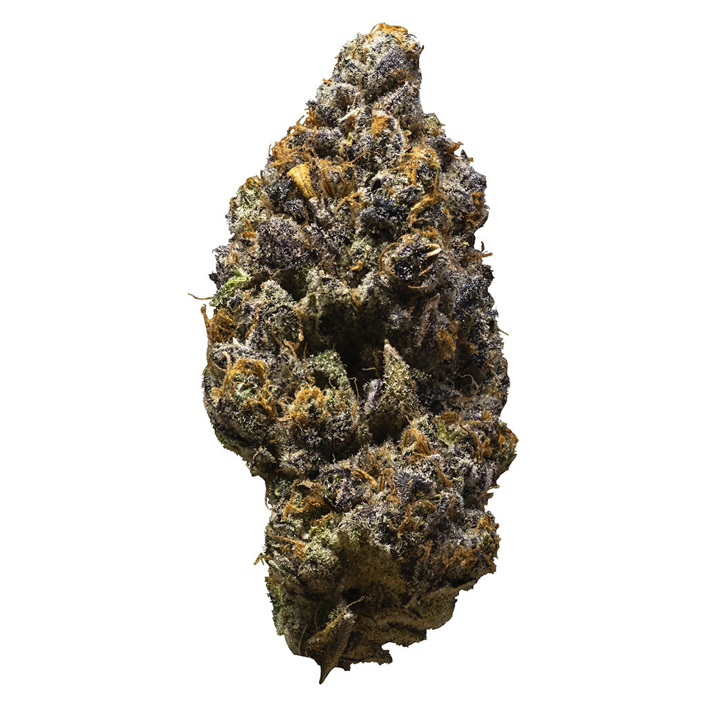 3rd Coast Genetics - Possum
